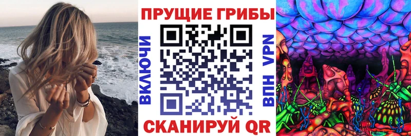 Купить где  Ессентукская  Галлюциногенные грибы прущие грибы 